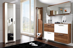 Мебель для прихожей фасад пластик AGT