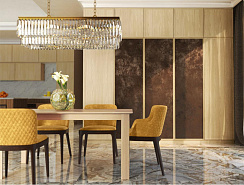 Шкаф дуб мдф в шпоне №2