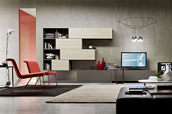 Гостиная фасады мдф Шпон и пластик Феникс №1