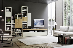 Гостиная фасады мдф Шпон и пластик Феникс №3