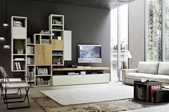 Гостиная фасады мдф Шпон и пластик Феникс №3